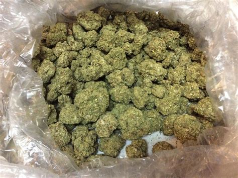 fake marijuana buds weed pot 1lb bag|counterfeit marijuana labels.